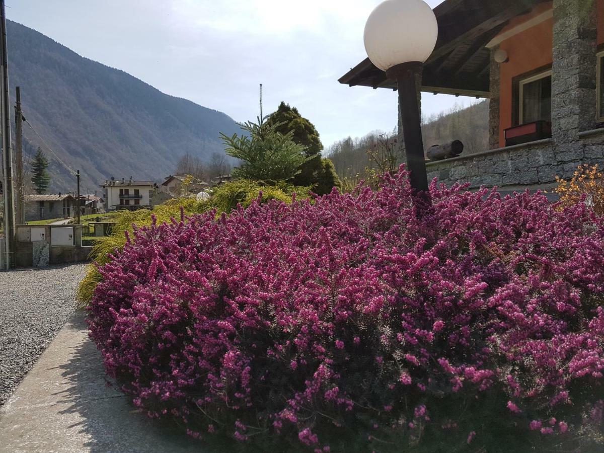 Hotel Ristorante Sasso Remenno Val Masino ภายนอก รูปภาพ